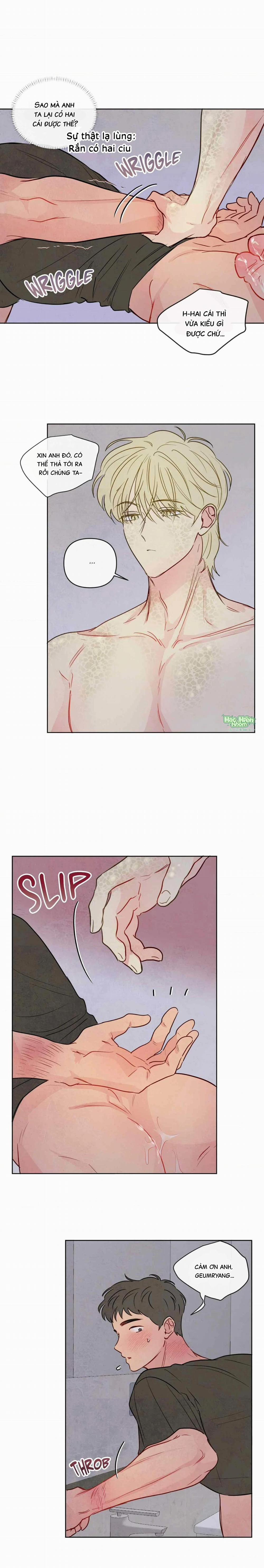 Sự Quyến Rũ Của Thần Rắn 24 trang 2
