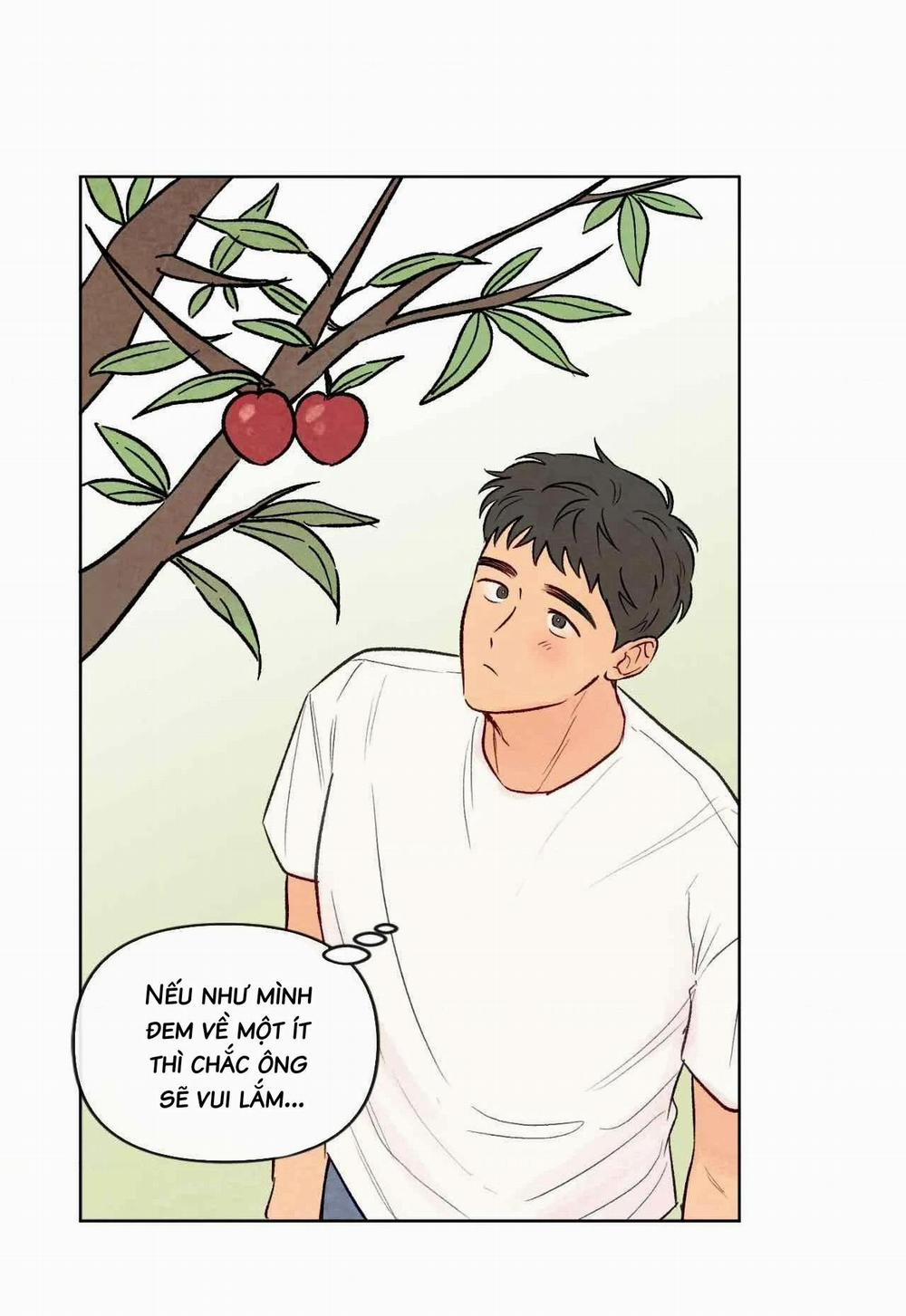 Sự Quyến Rũ Của Thần Rắn 25 hachiennhom trang 52