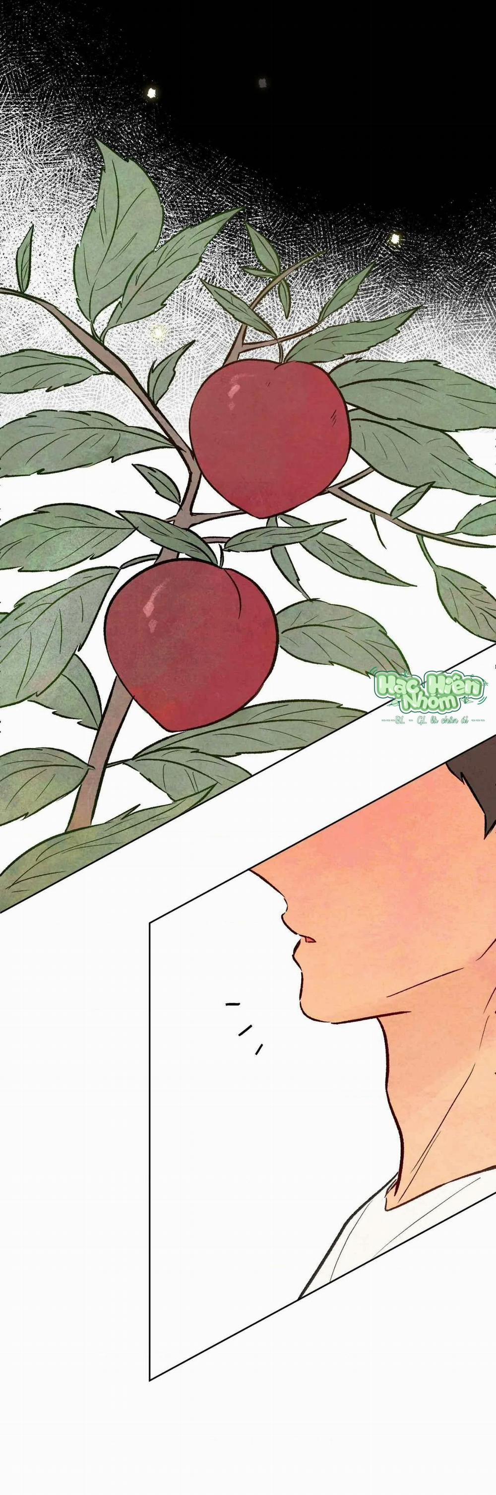 Sự Quyến Rũ Của Thần Rắn 25 trang 49