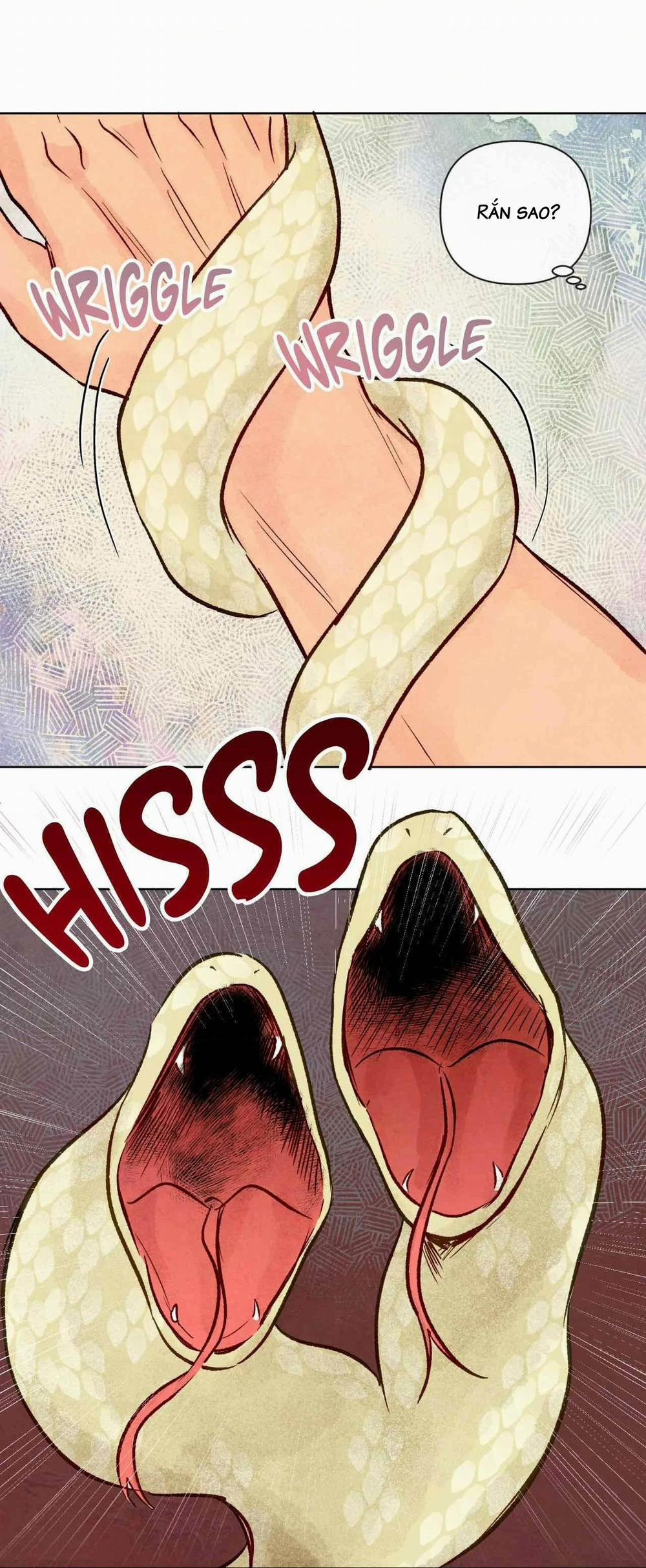 Sự Quyến Rũ Của Thần Rắn 25 trang 55