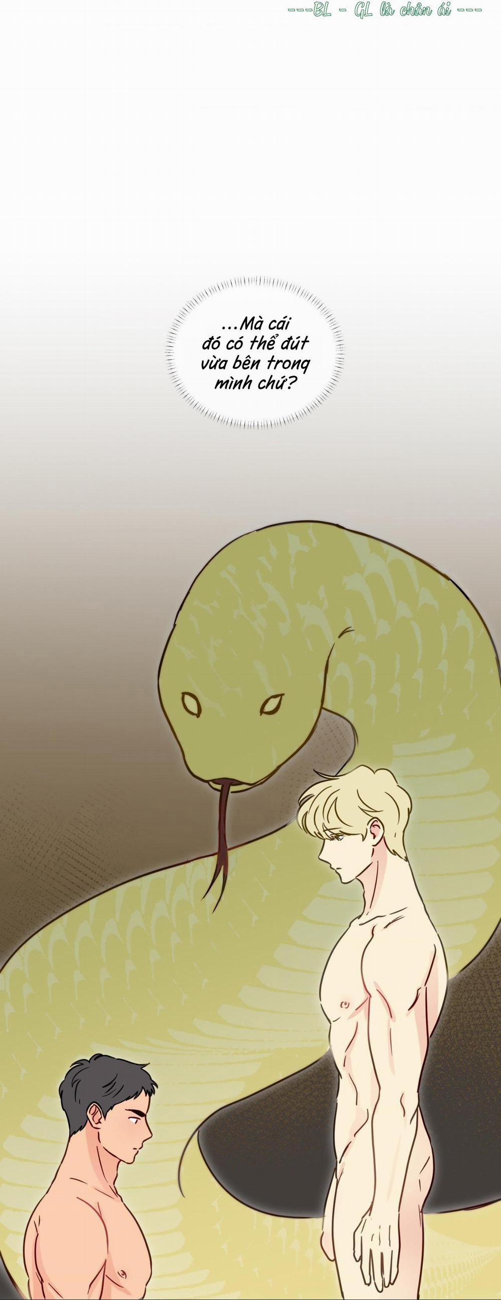 Sự Quyến Rũ Của Thần Rắn 5 trang 3