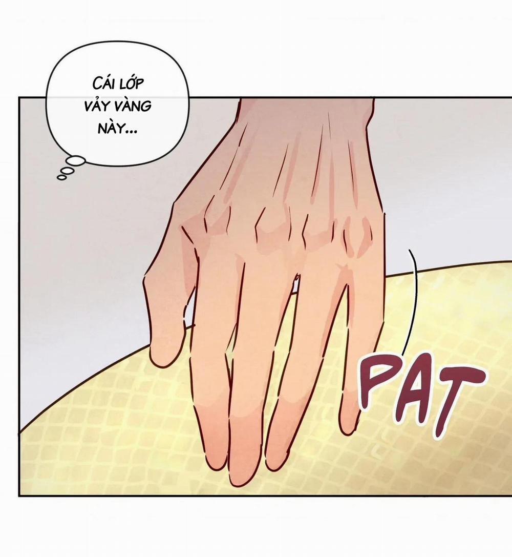 Sự Quyến Rũ Của Thần Rắn 7 Hachiennhom trang 30