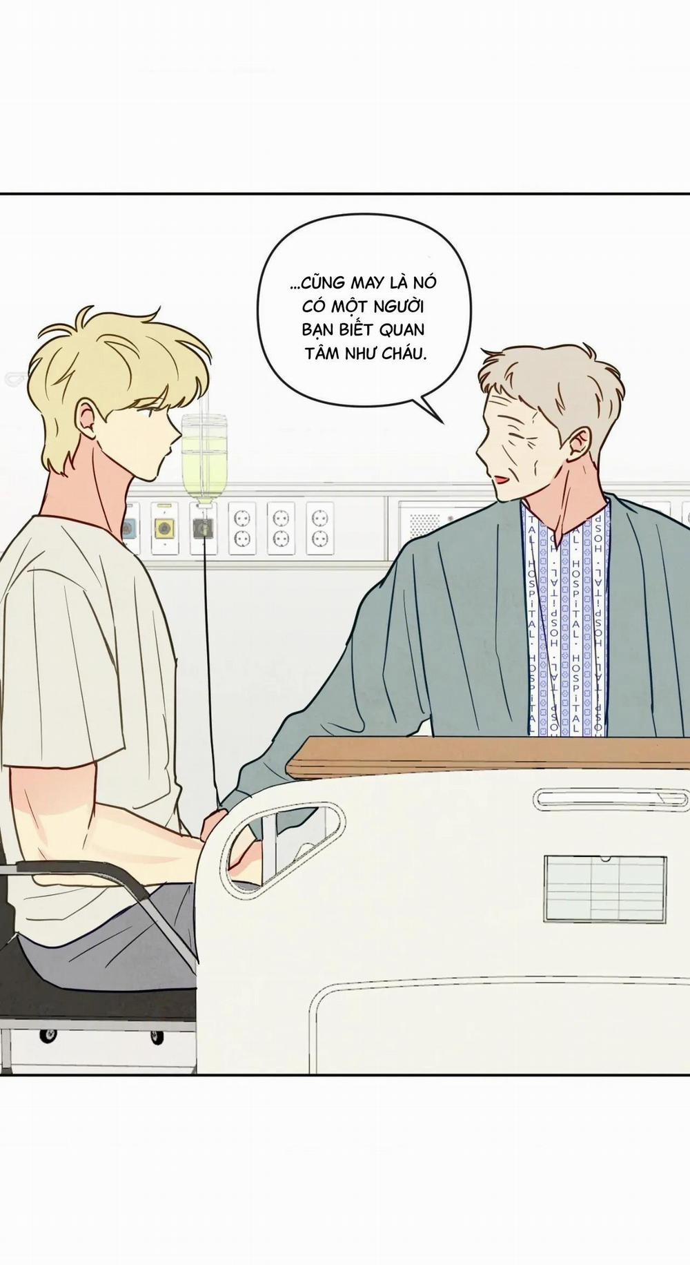 Sự Quyến Rũ Của Thần Rắn 9 Hachiennhom trang 61