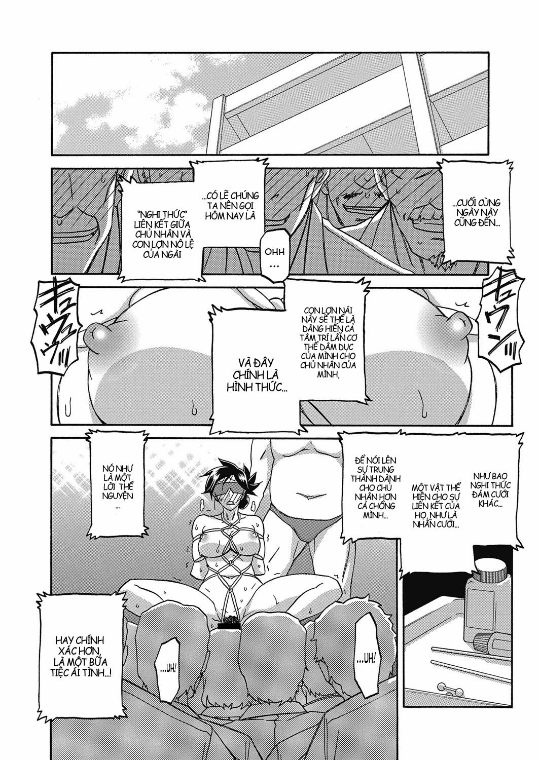 Sự rung chuyển của mặt trăng 21 trang 11