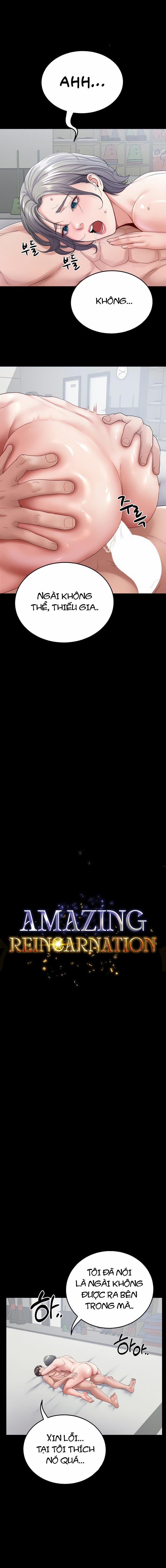 Sự Tái Sinh Tuyệt Vời 23 trang 6