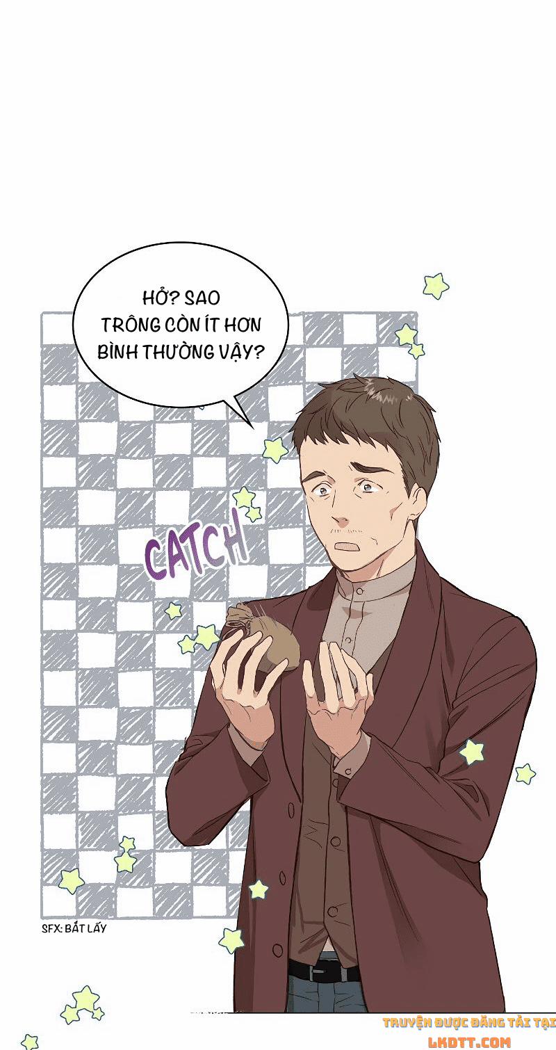 Sự Thật Thì, Họ Chỉ Nhớ Đến Cô Ấy 6 trang 4