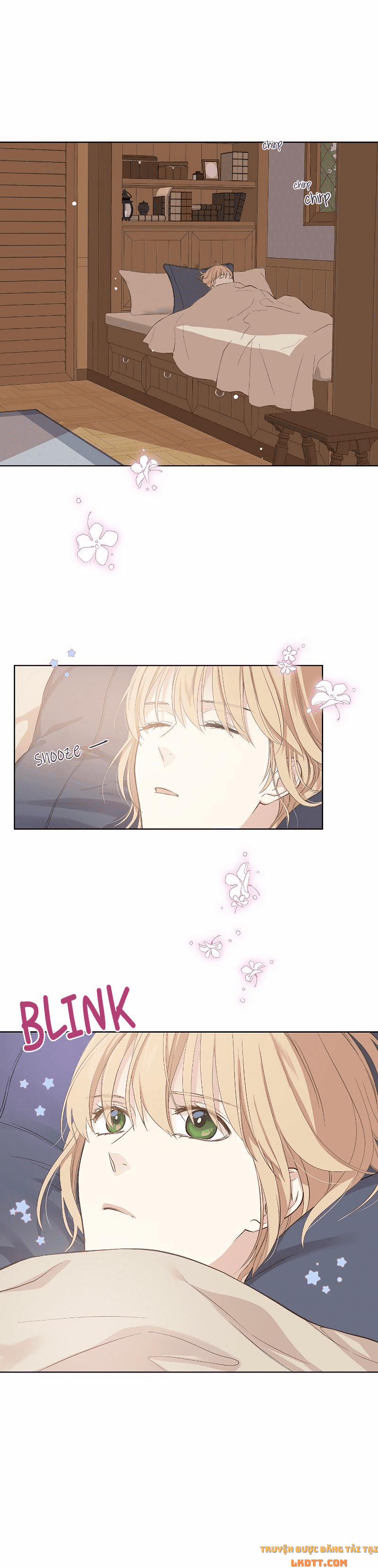 Sự Thật Thì, Họ Chỉ Nhớ Đến Cô Ấy 9 trang 7