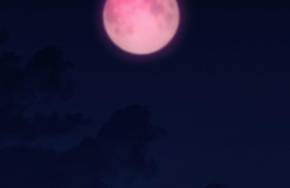 Sự Tình Của Kẻ Ác Nhân 16 trang 119