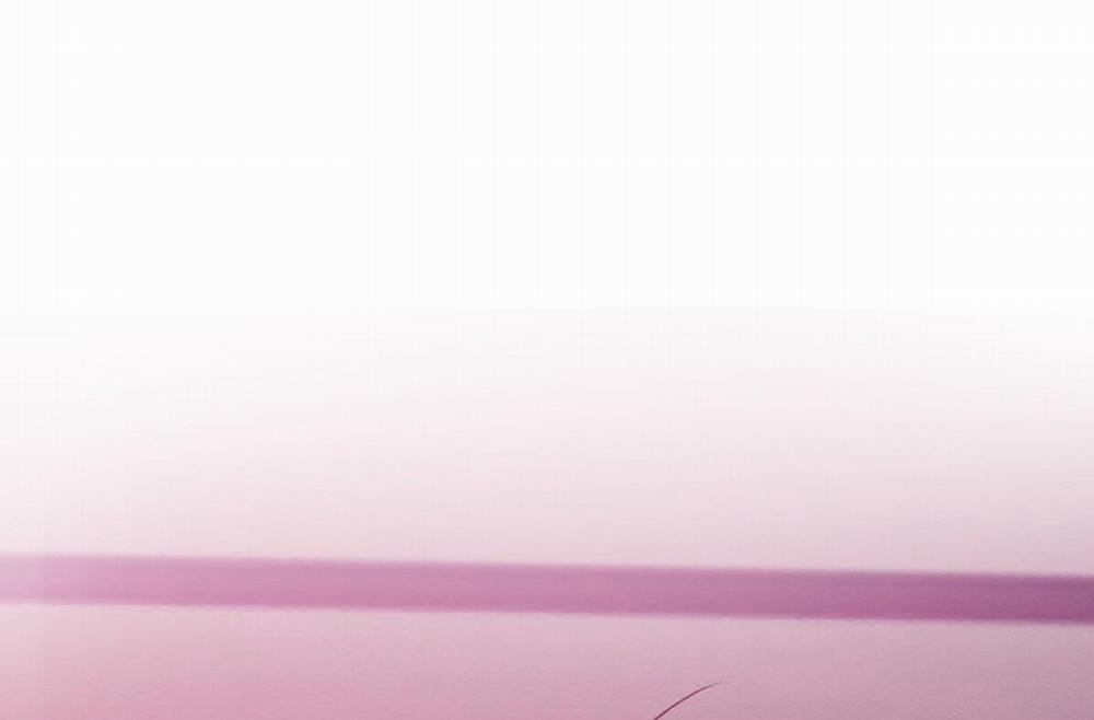 Sự Tình Của Kẻ Ác Nhân 29 trang 7