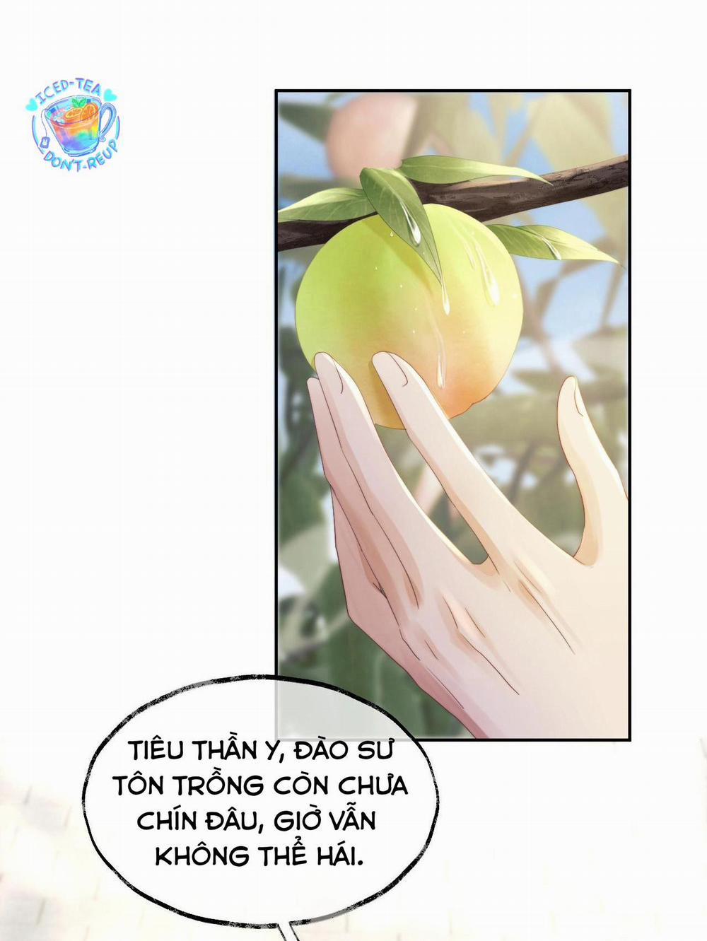 Sư Tôn Mỹ Nhân Bệnh Độc Chiếm 13 trang 1