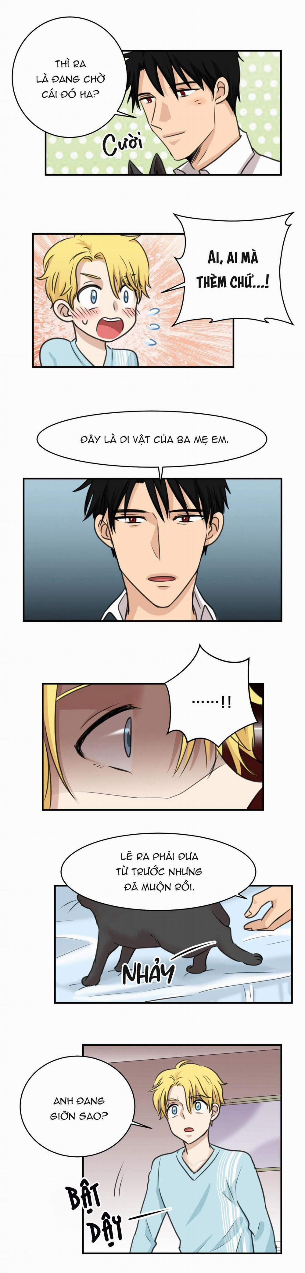 Sự Trả Thù Méo Mó 13 trang 6