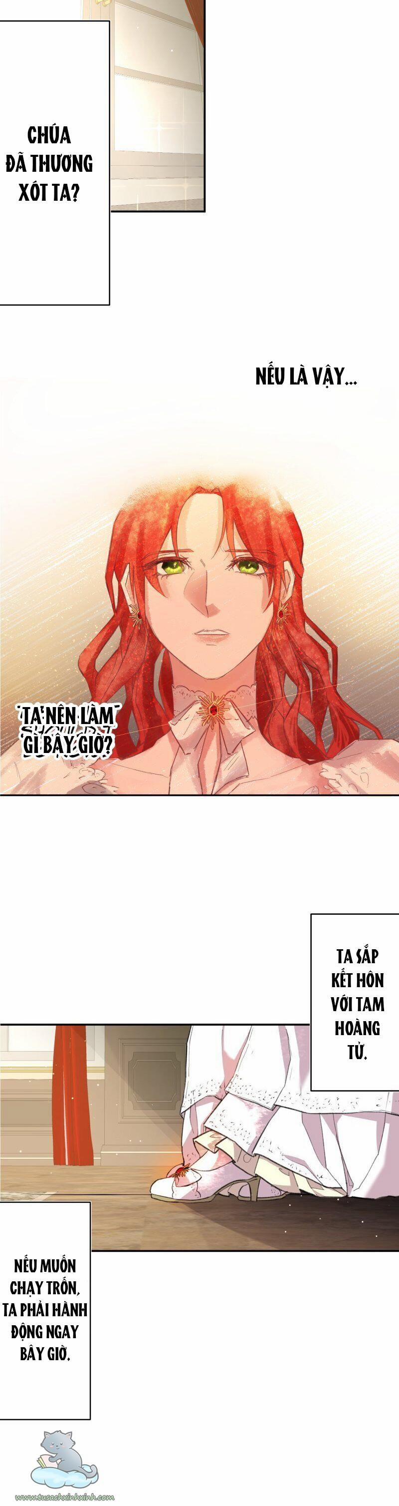 Sự Trả Thù Ngọt Ngào Hơn Cả Mật Ong 2 trang 14