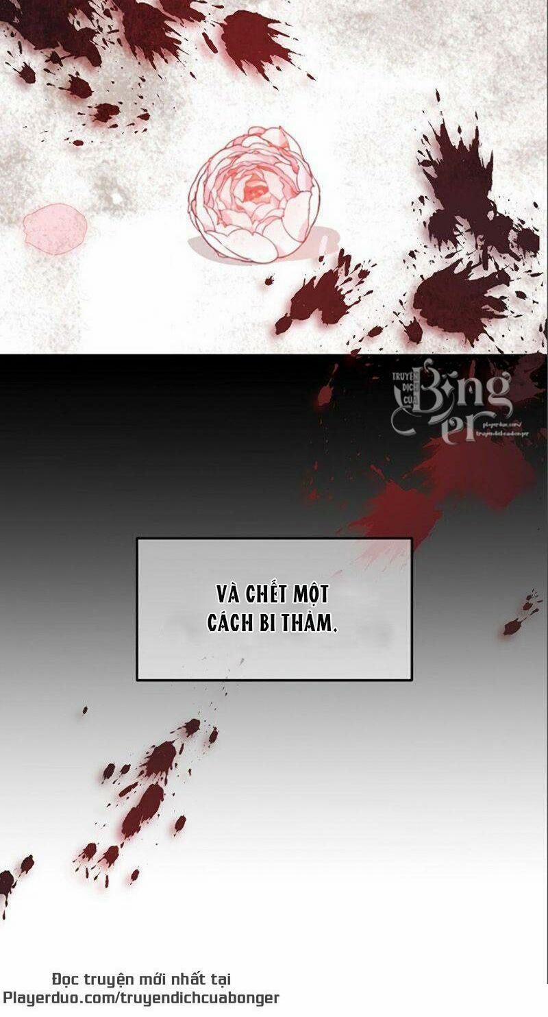 Sự Trở Lại Của Nữ Hiệp Sĩ (Nữ Hiệp Sĩ Trở Về) 3 trang 8