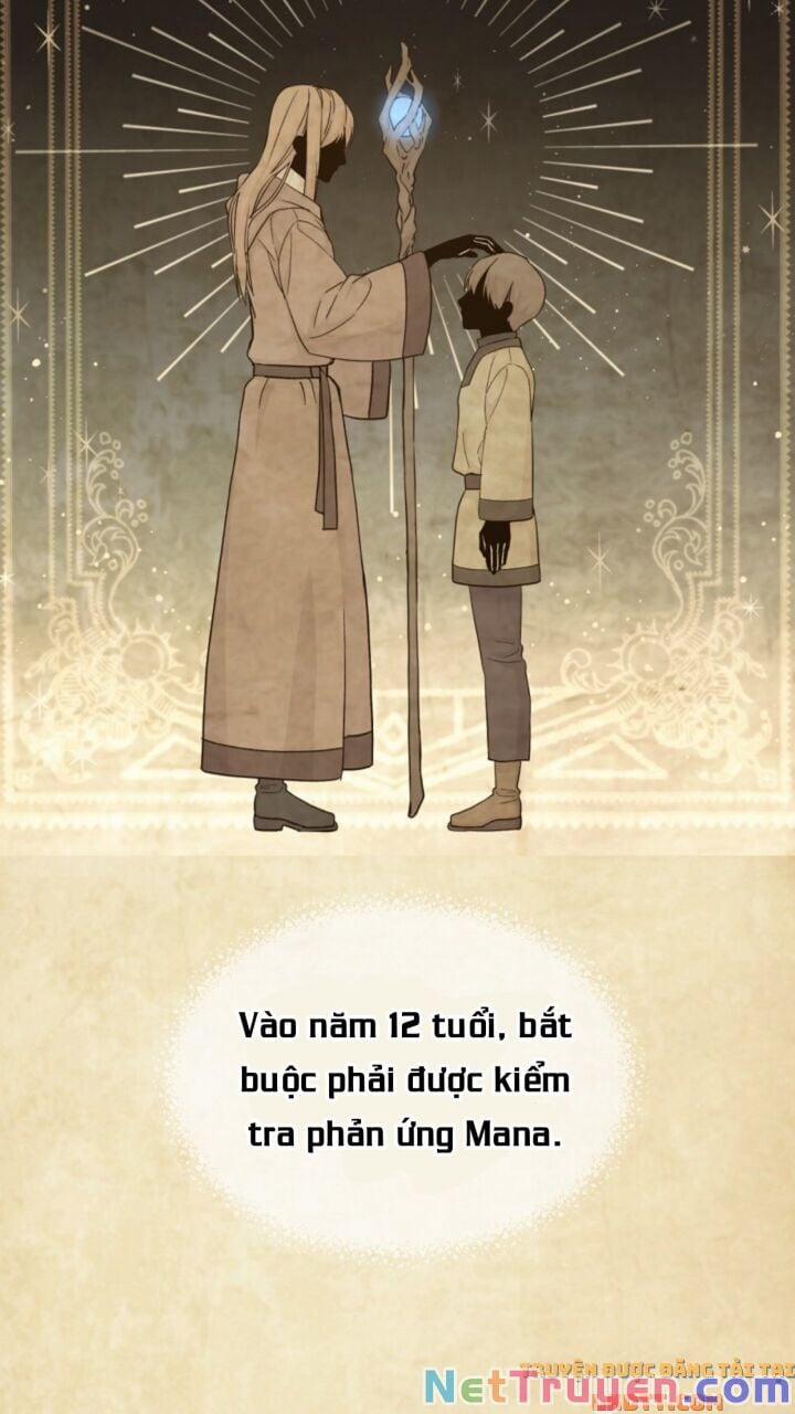 Sự Trở Lại Của Pháp Sư Cấp 8 2 trang 2