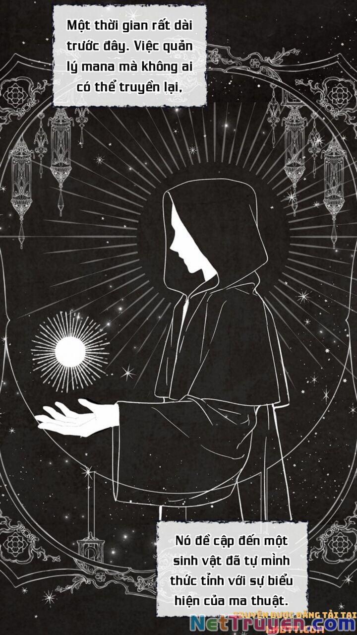 Sự Trở Lại Của Pháp Sư Cấp 8 3 trang 47