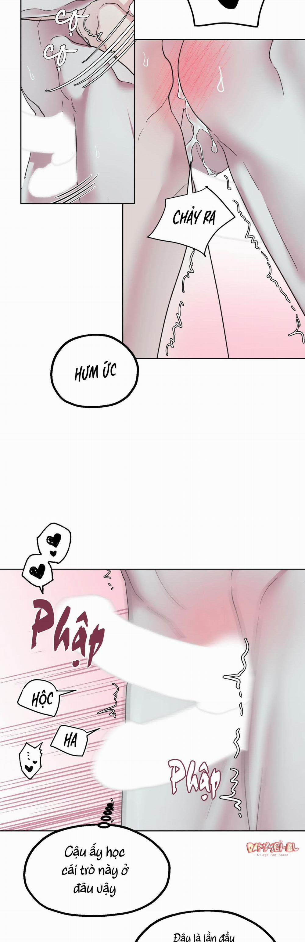 Sữa Của Bạn Tôi 6 trang 17