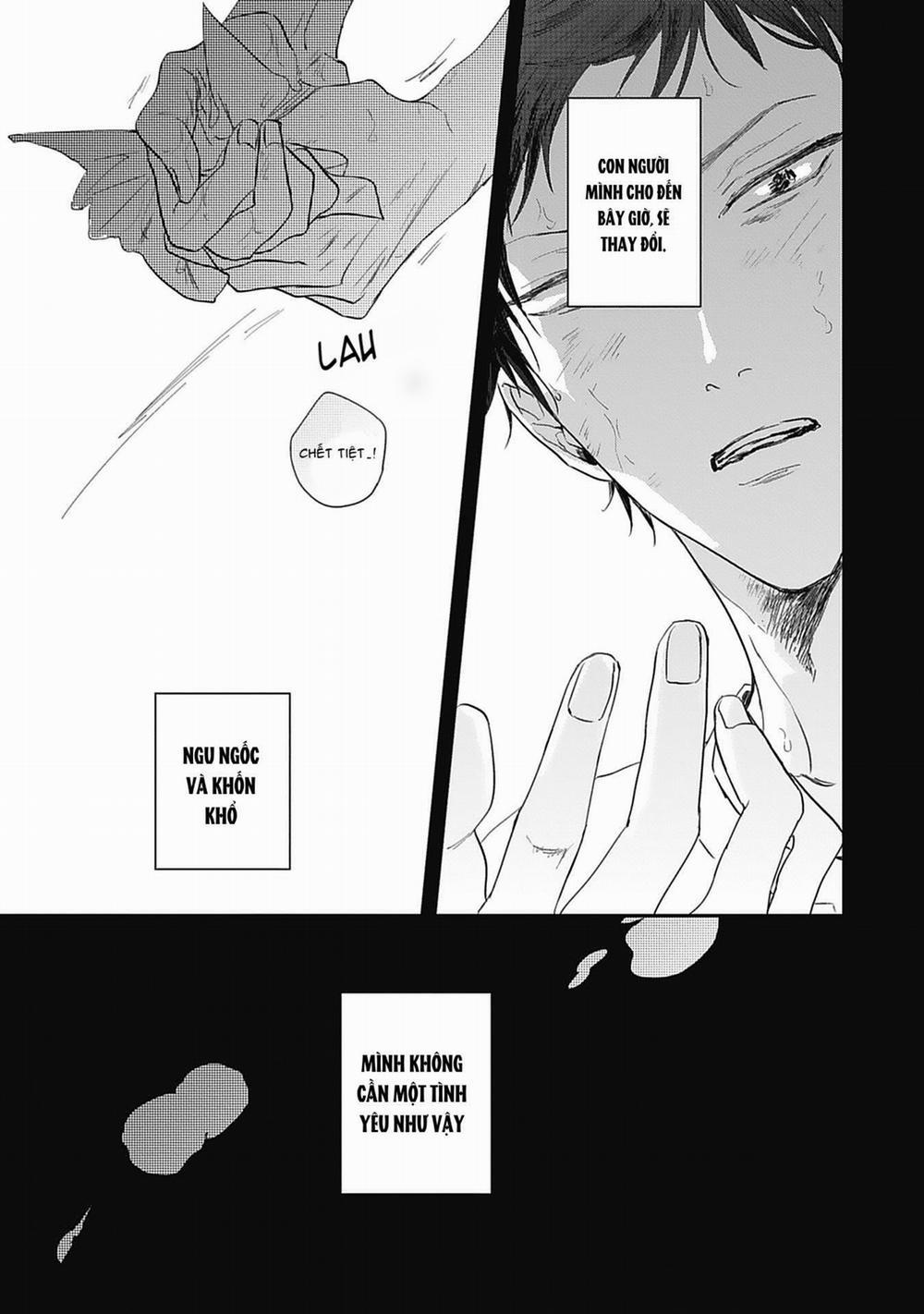 Sugar My Baby 2 trang 19