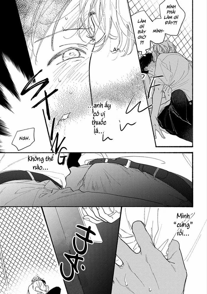 Sumire Của Cậu 3 trang 10