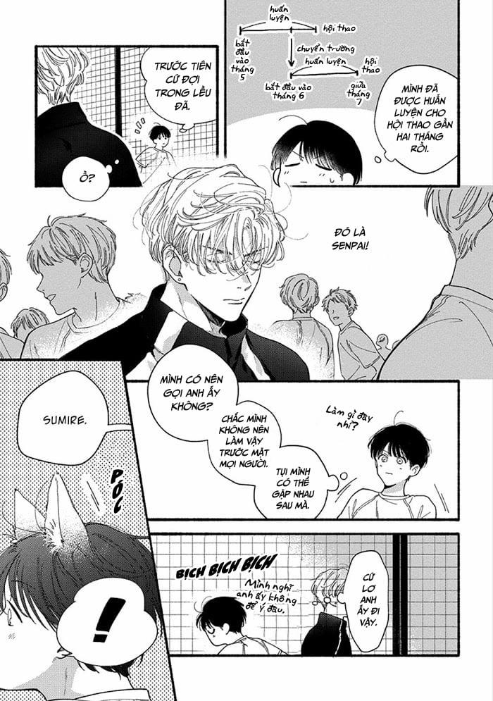Sumire Của Cậu 3 trang 4