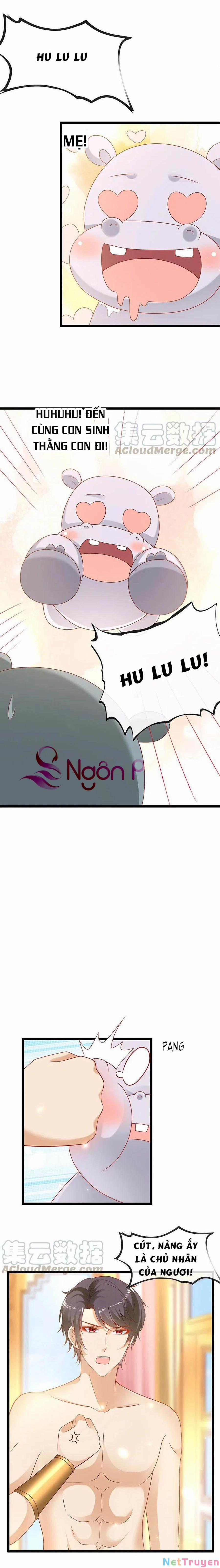 Sủng Hậu Của Vương 127 trang 3