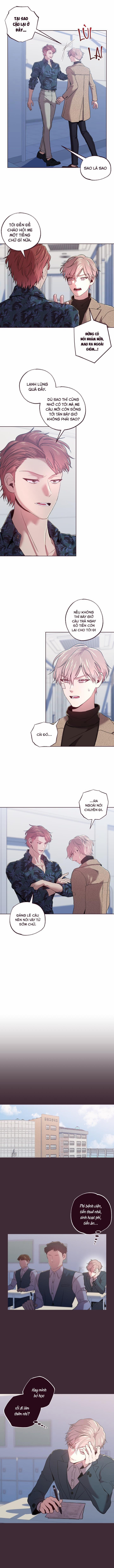 SỤP ĐỔ 21 trang 1