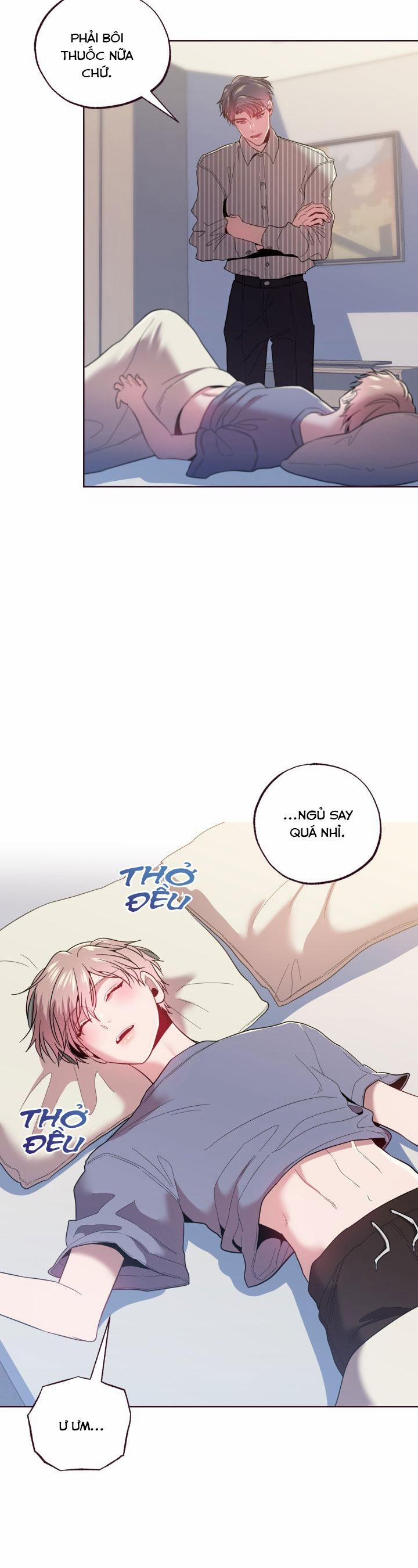 SỤP ĐỔ 25 trang 8