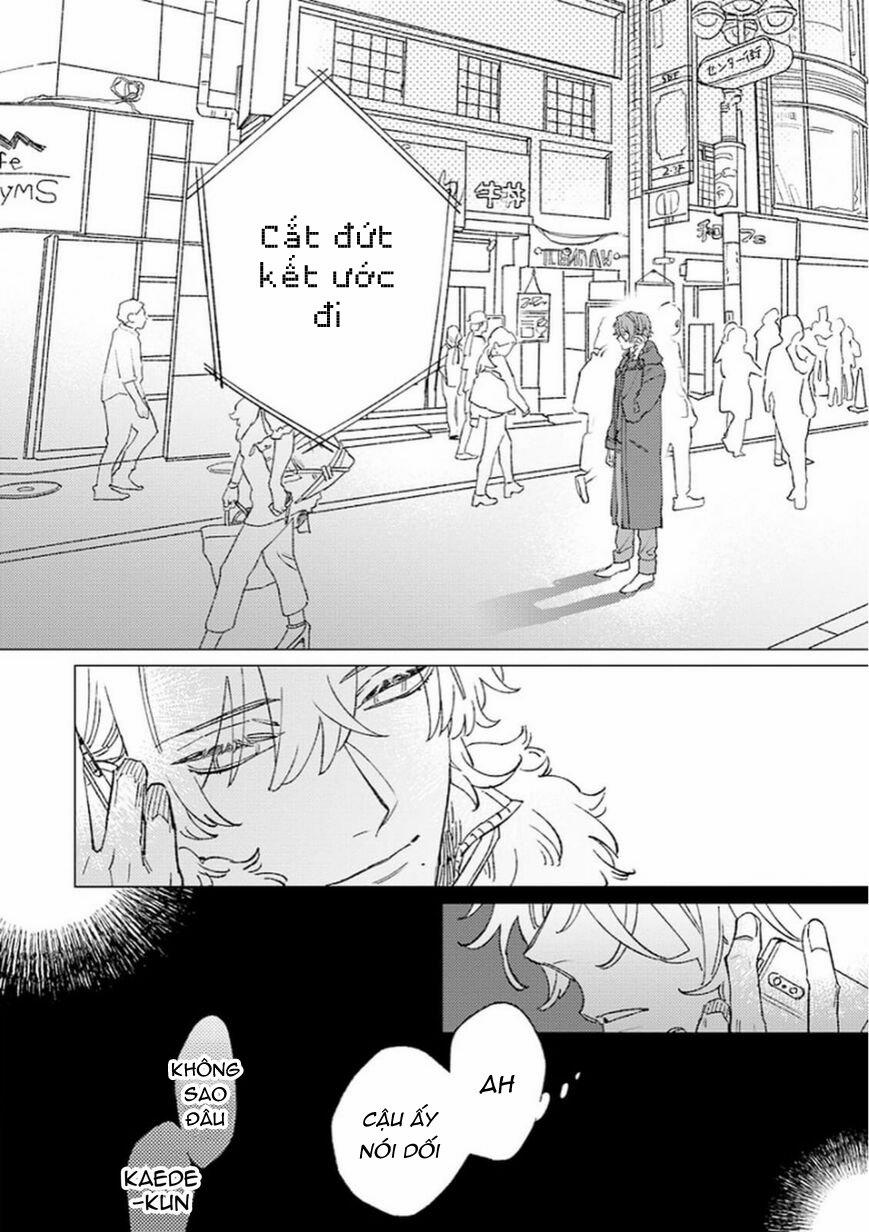 Sutenaide My Hero 6 trang 14