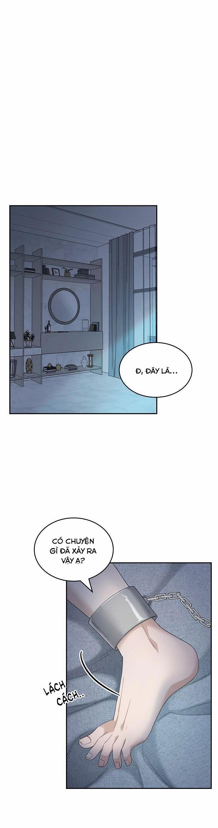 SƯU TẦM GIA 2 trang 3