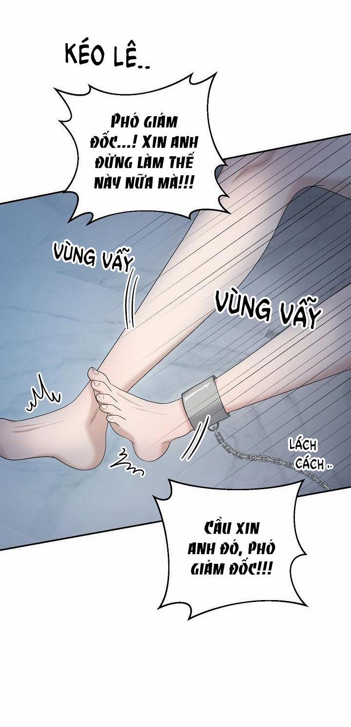 SƯU TẦM GIA 2 trang 33