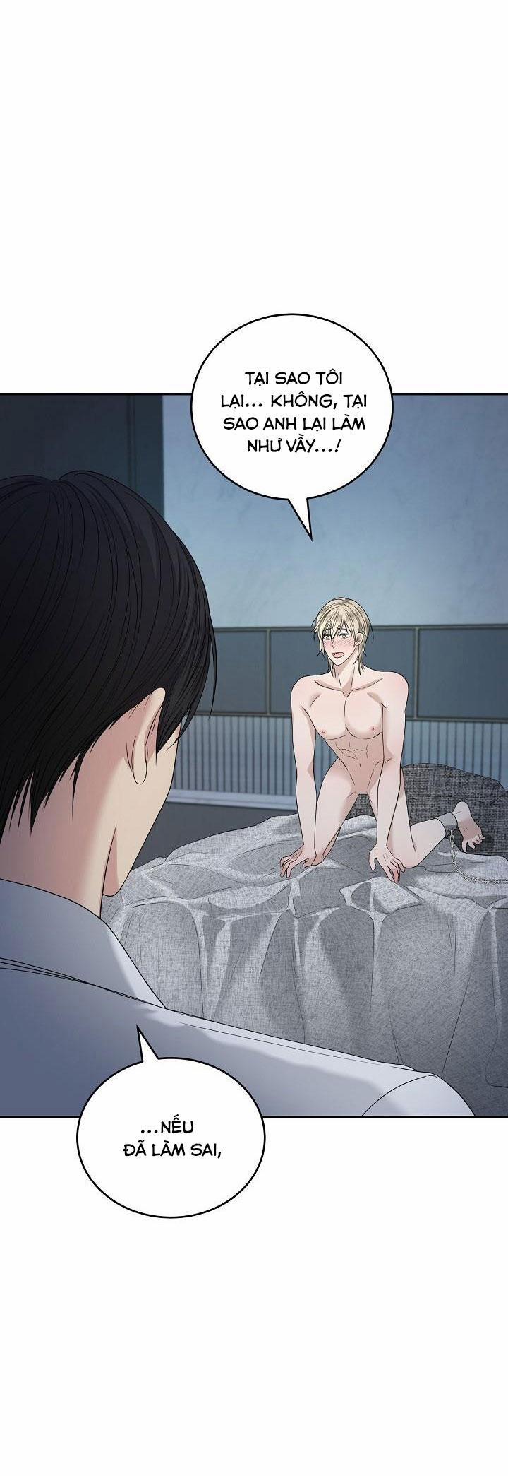 SƯU TẦM GIA 2 trang 4