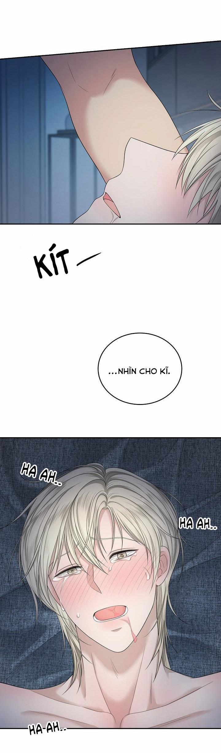 SƯU TẦM GIA 2 trang 41