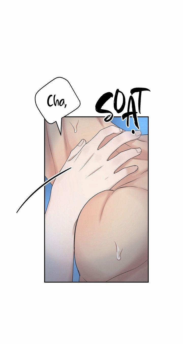 SƯU TẦM GIA 4 trang 21