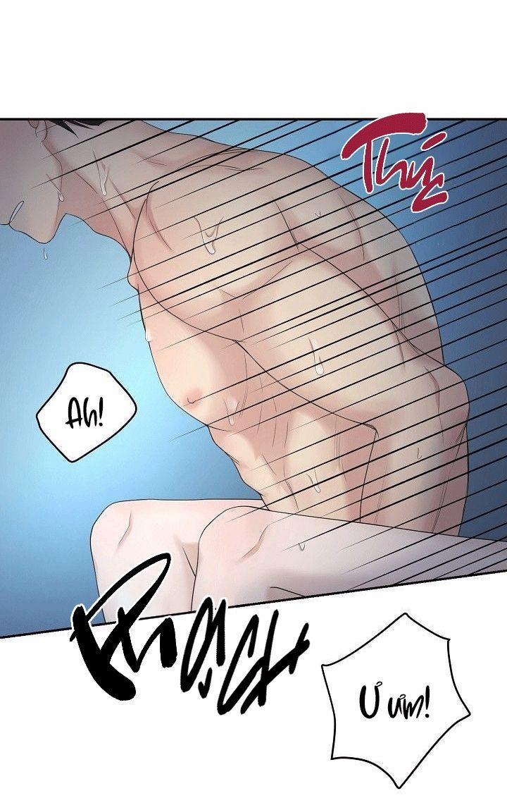 SƯU TẦM GIA 4 trang 4