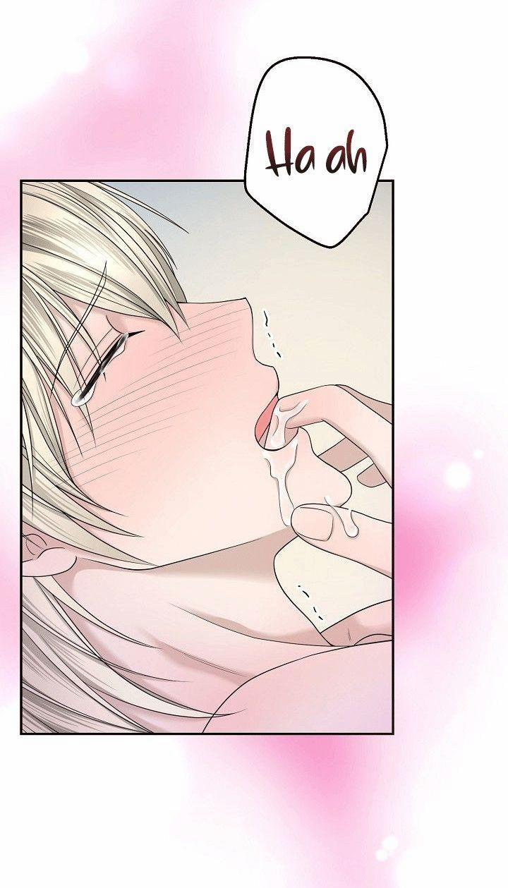 SƯU TẦM GIA 4 trang 64