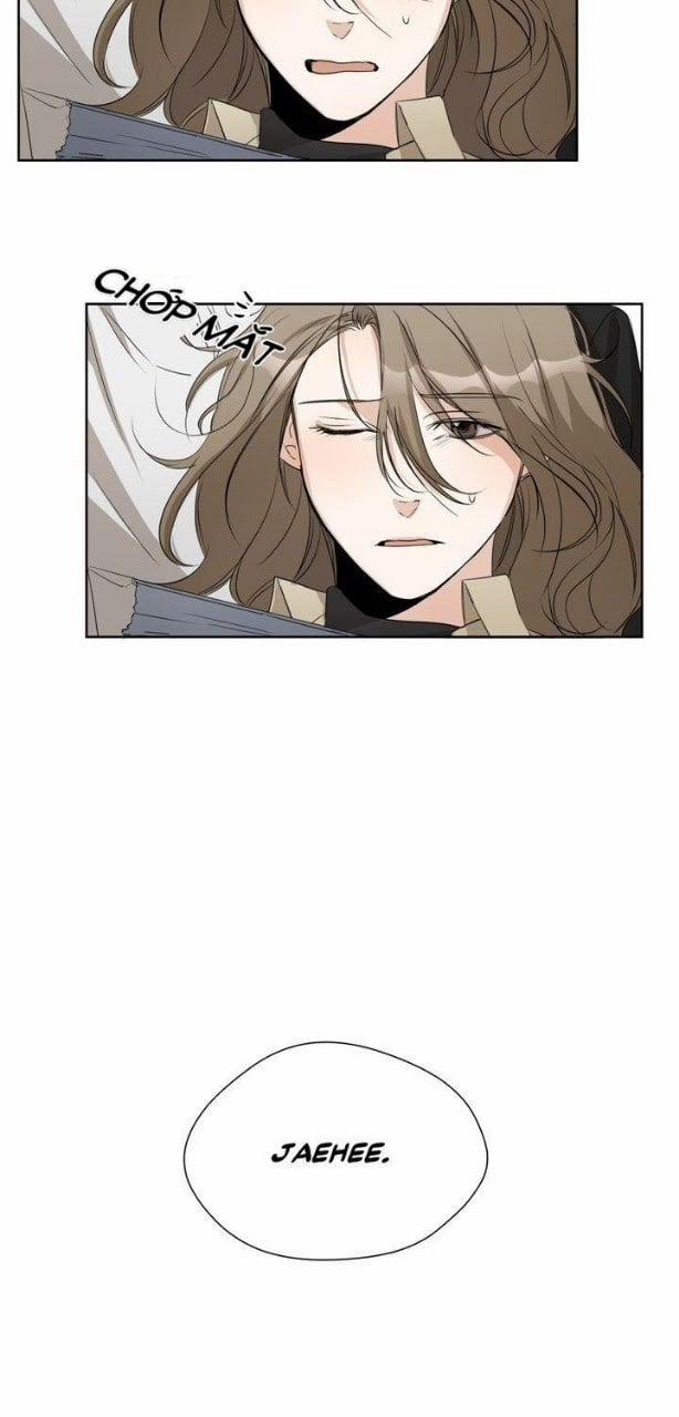 Sweet Dream 8 trang 12