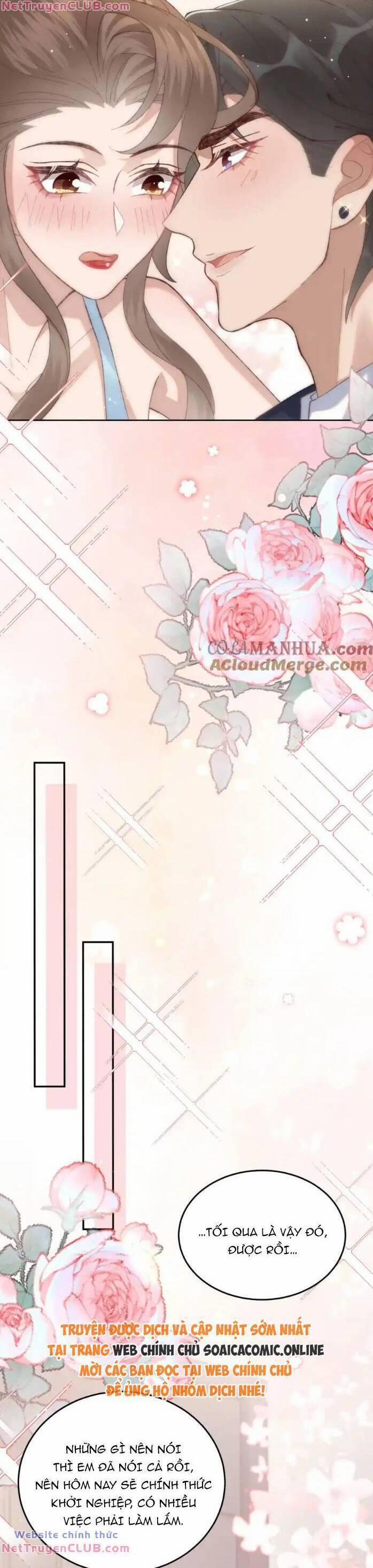 Ta Có Hào Quang Bá Tổng 23 trang 20