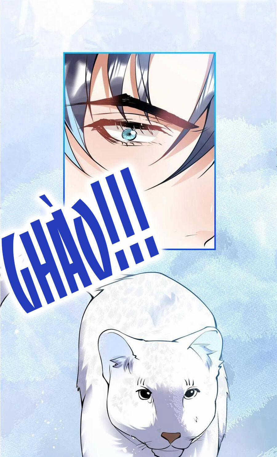 Ta Có Năm Đại Lão Ba Ba 293 trang 12