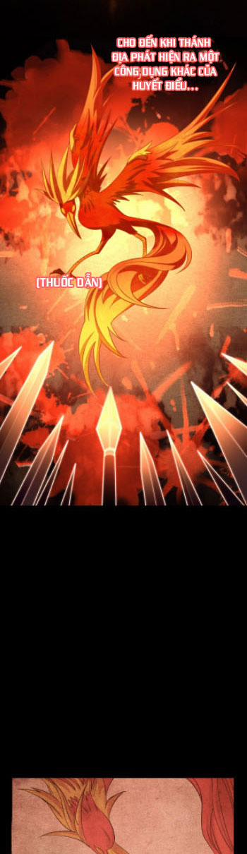 Ta Có Thể Rút Ra Thuộc Tính 6 trang 14