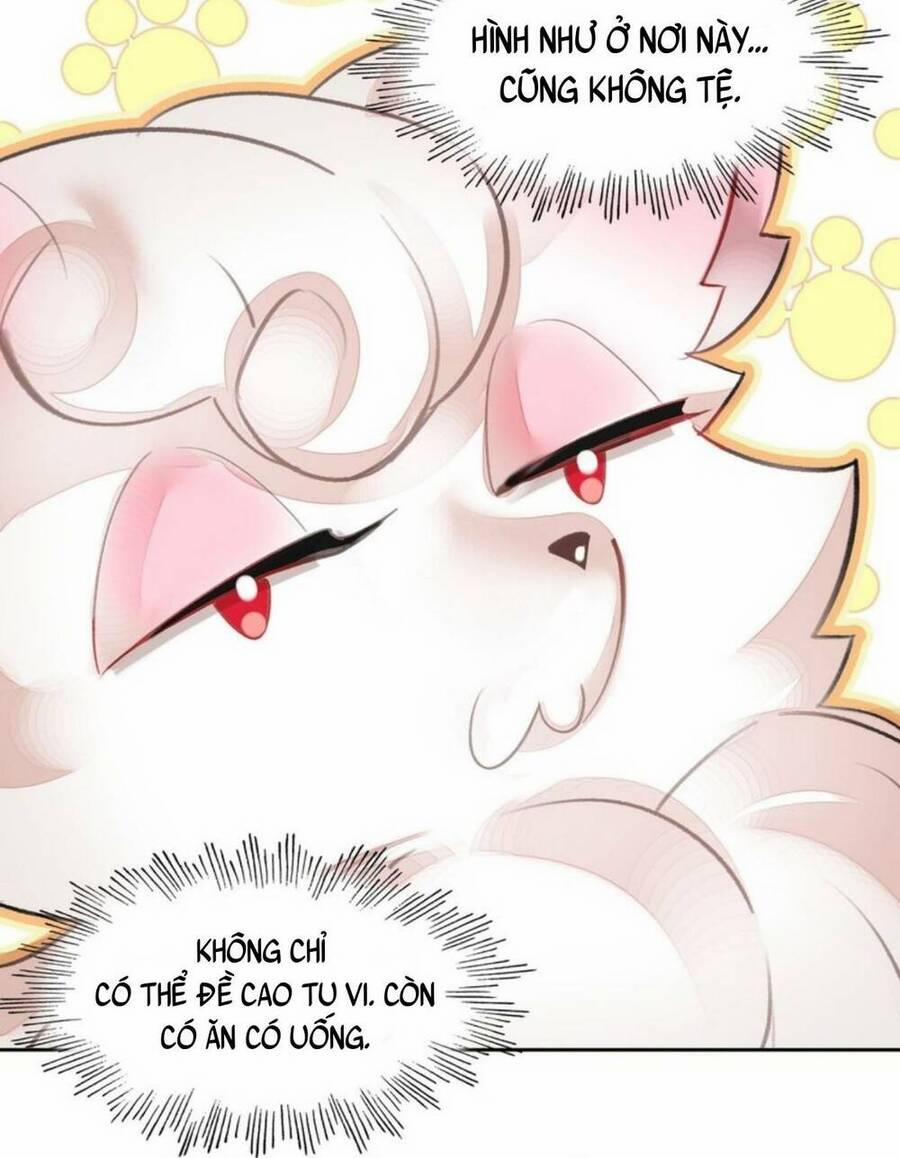 Ta Đây Chính Là Tuyệt Thế Cao Thủ 8 trang 41