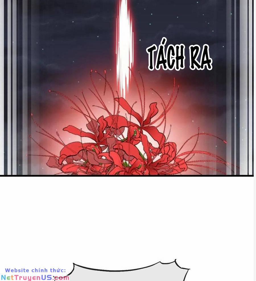 Ta Không Phải Con Cưng Của Khí Vận 223 trang 6