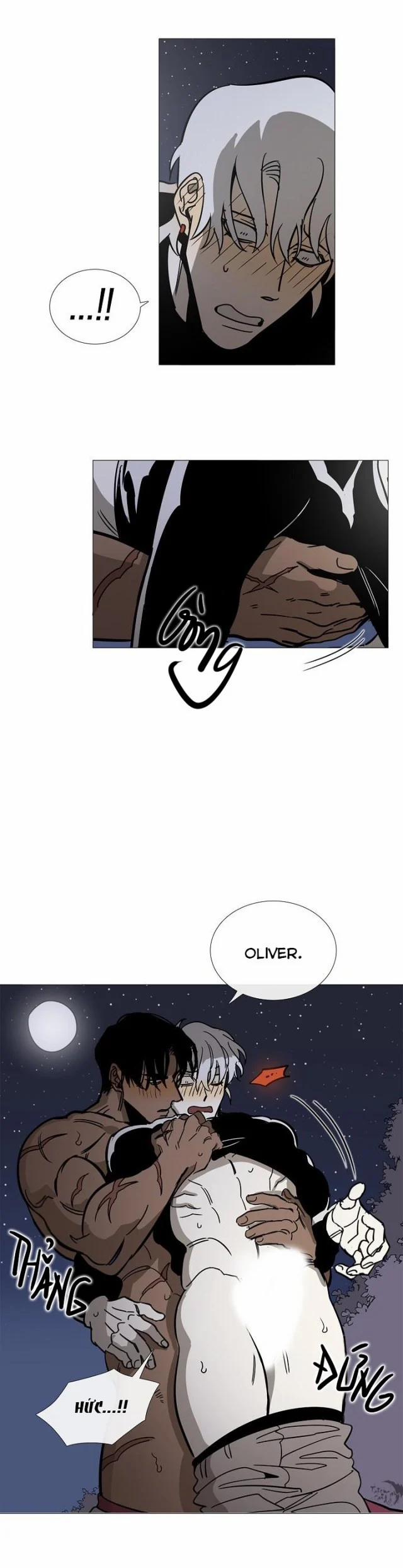 Ta Là Hoàng Tử Của Vùng Đất Này 0 End trang 14