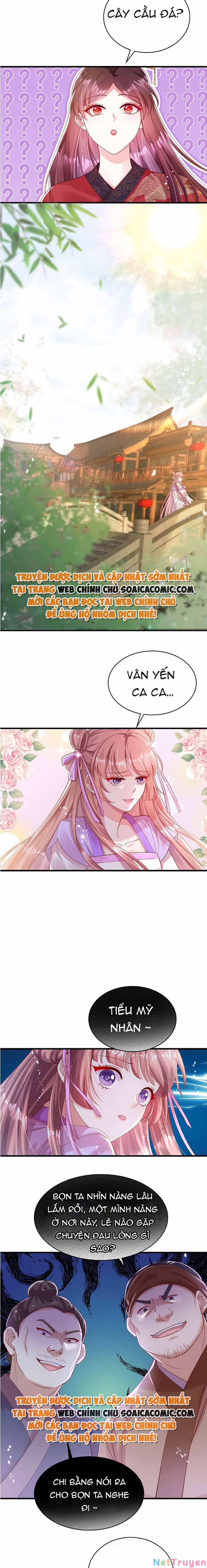 Ta Live Stream Ngược Đãi Nam Chính 14 trang 3