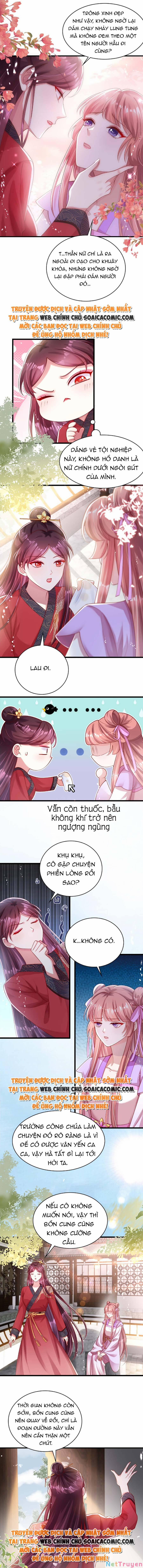 Ta Live Stream Ngược Đãi Nam Chính 15 trang 5