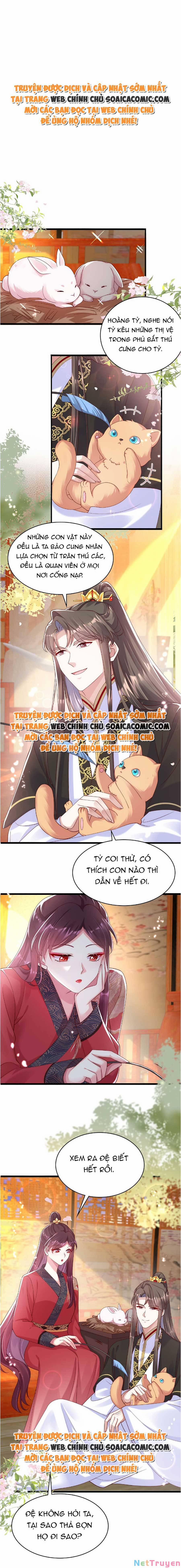 Ta Live Stream Ngược Đãi Nam Chính 17 trang 0