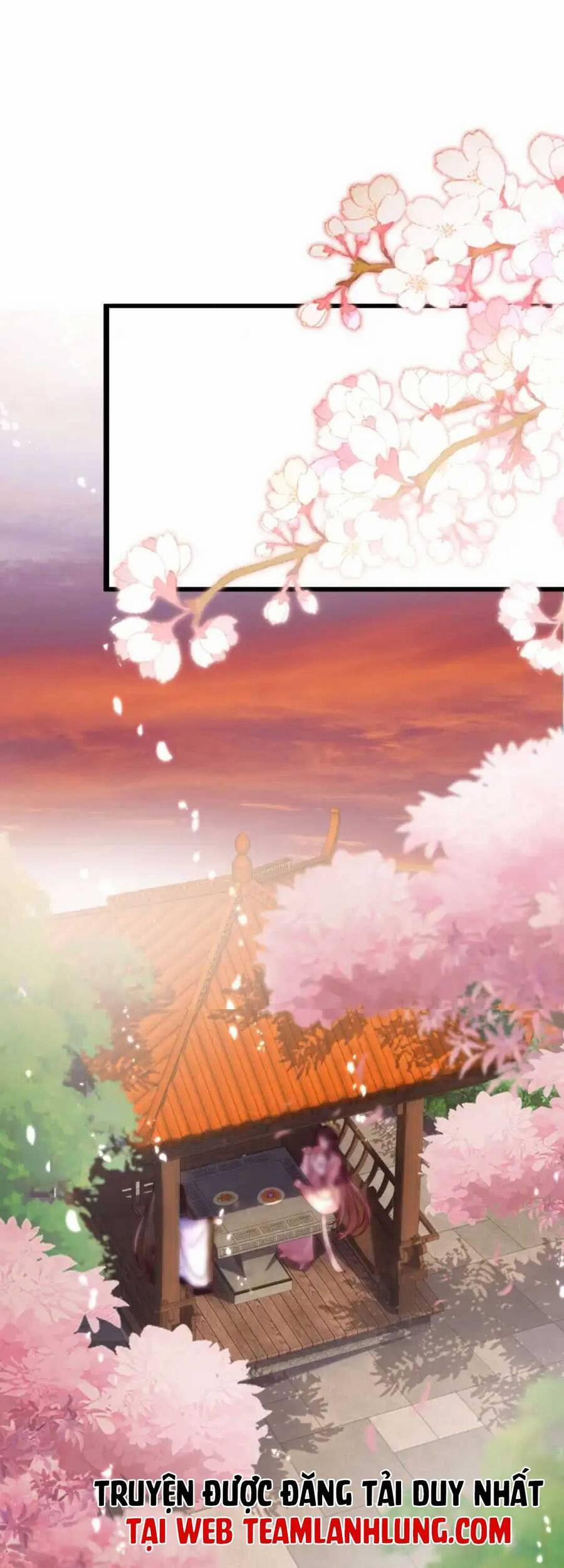 Ta Live Stream Ngược Đãi Nam Chính 6 trang 1