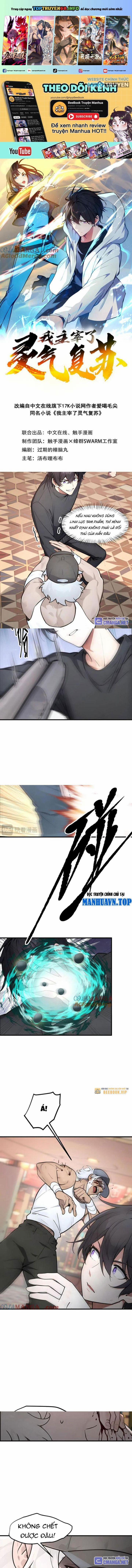 Ta Nắm Giữ Linh Khí Thức Tỉnh 101 trang 0