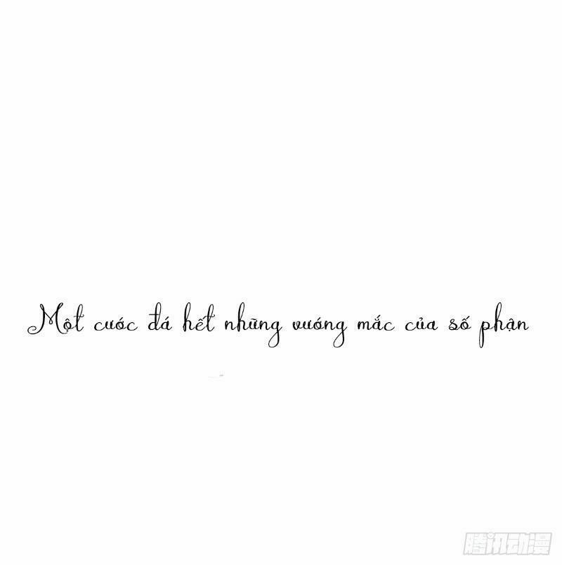 Ta Ở Dị Giới Nuôi Dưỡng Nam Thần: Thần Y Cửu Tiểu Thư 0 trang 16