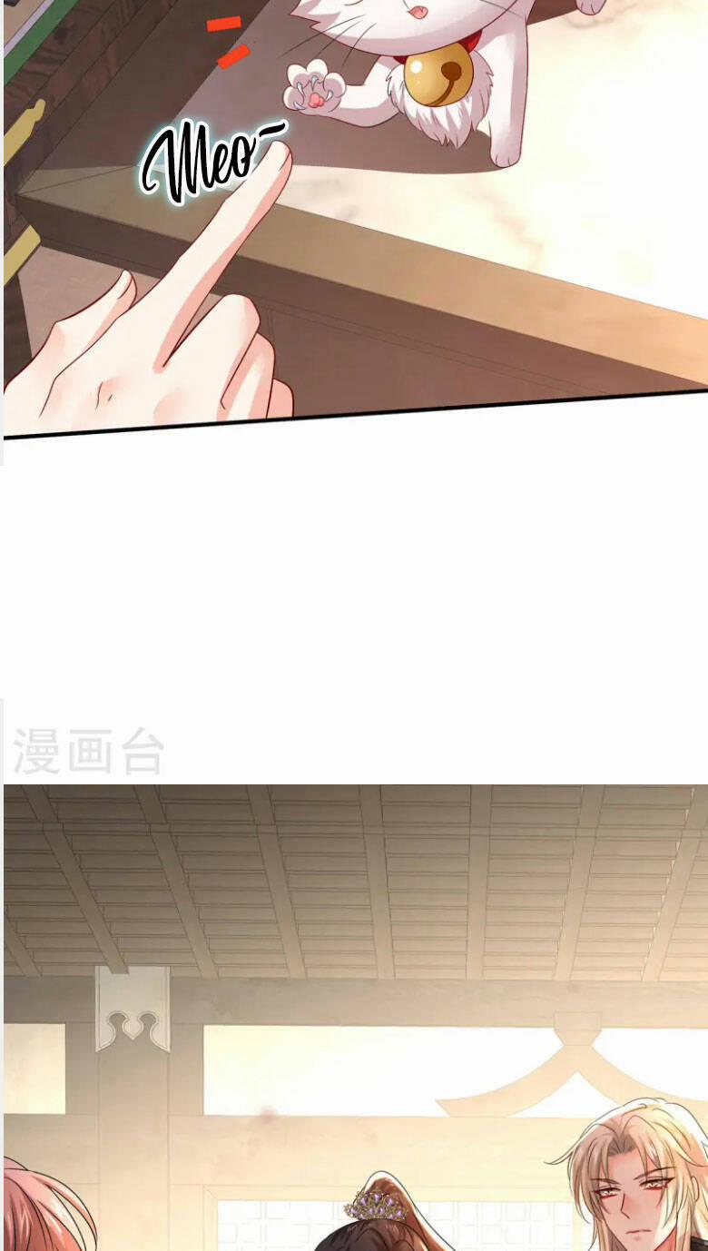 Ta Ở Dị Giới Nuôi Dưỡng Nam Thần: Thần Y Cửu Tiểu Thư 255 trang 23