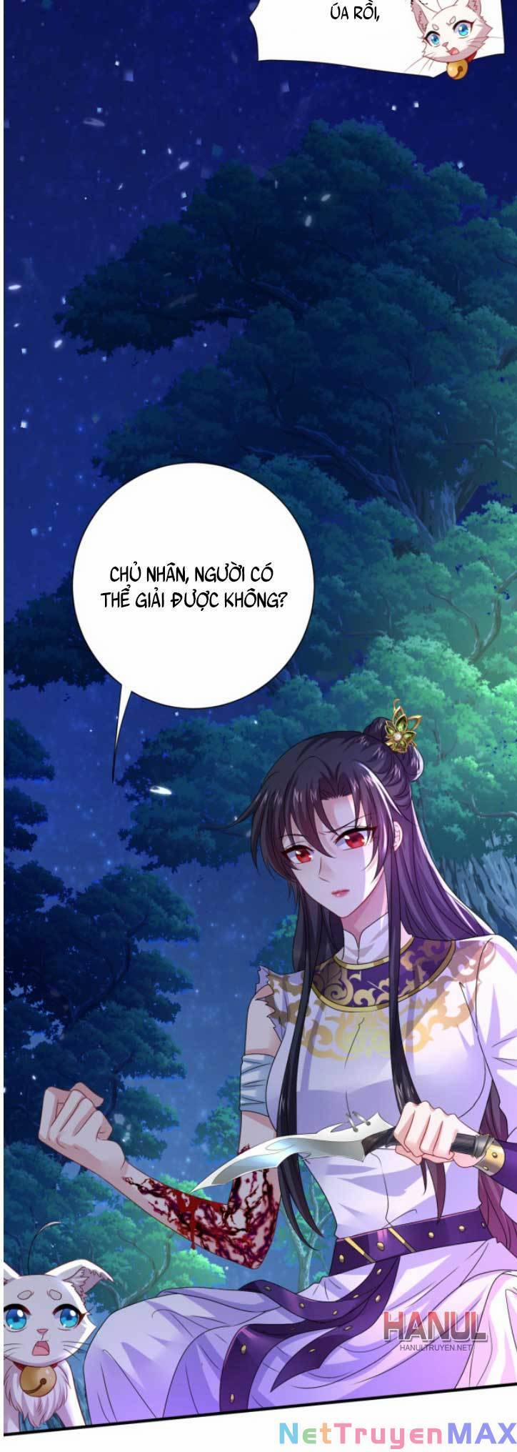 Ta Ở Dị Giới Nuôi Dưỡng Nam Thần: Thần Y Cửu Tiểu Thư 270 trang 27