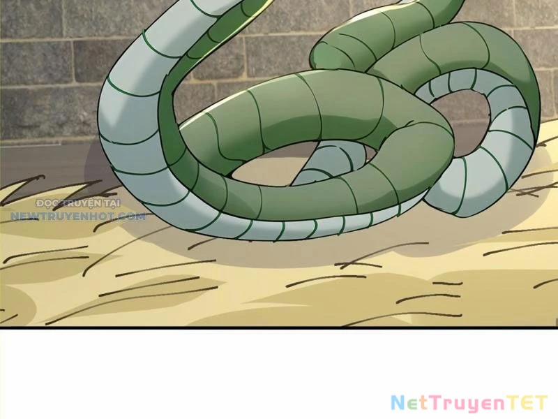 Ta Thực Sự Không Muốn Làm Thần Tiên 105 trang 71